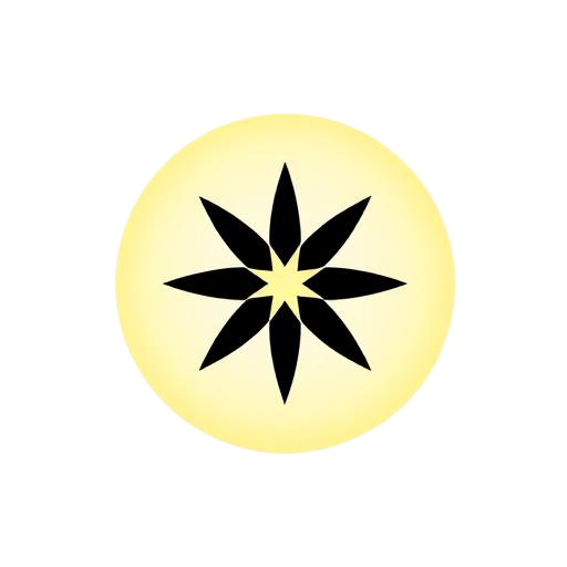 Shine City Talent logo